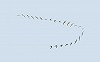 Thijs Glastra · Alpengierzwaluw
