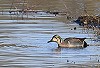 Roef Mulder · Siberische Taling